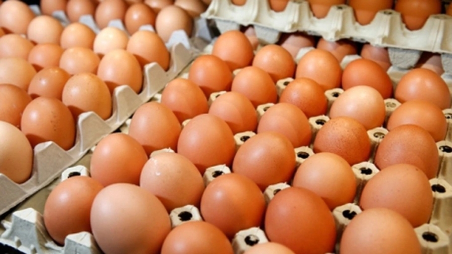 Kaufland dă replica în cazul ouălelor cu risc de Salmonella