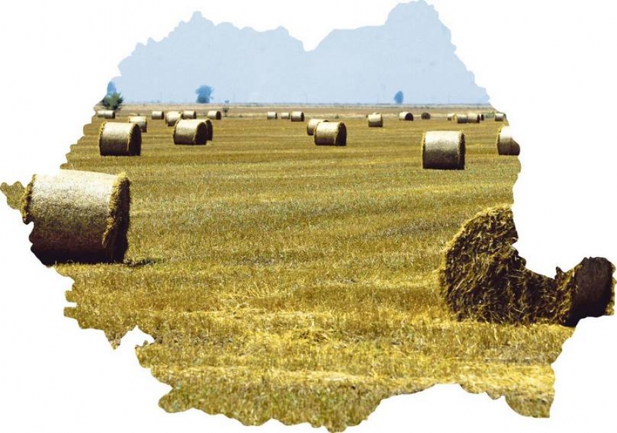 Raport UE: Cum va fi anul agricol 2015 pentru România