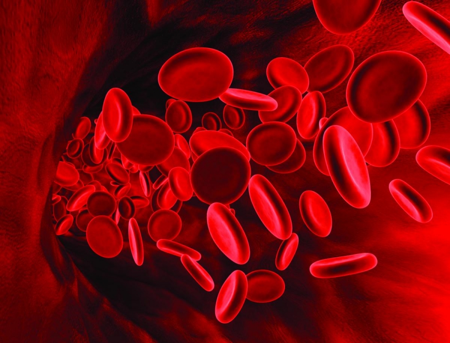 Talasemia, boala care perturbă producţia corectă a hemoglobinei