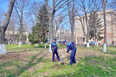 Poliţiştii gălăţeni au plantat copaci