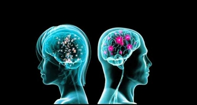 Interconexiunile din creierul bãrbaþilor se fac diferit faþã de cele din creierul femeilor