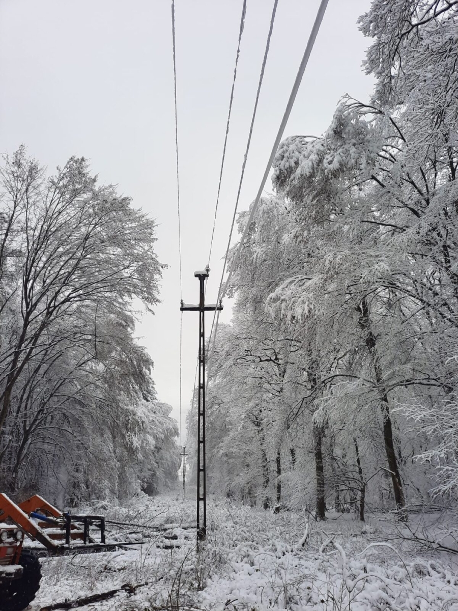 Localităţile Umbrăreşti şi Fârţăneşti, fără curent electric din cauza cauza viscolului