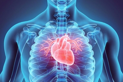 Boli cardiovasculare: un cardiolog enumeră 5 alimente de evitat