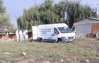 Al 14-lea focar de pestă porcină, confirmat în județul Galați