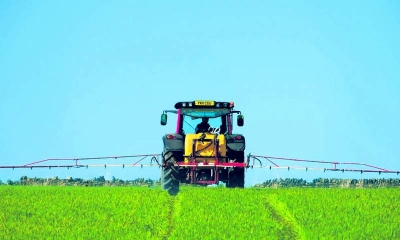 Fungicidele folosite în ultimii 20 de ani în agricultură provoacă degenerarea neuronilor