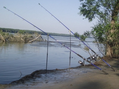 Dunărea nu mai are peşte, dar nici ANPA nu mai eliberează permise de pescuit