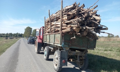 Prins fără permis la volanul tractorului cu remorca plină de lemne