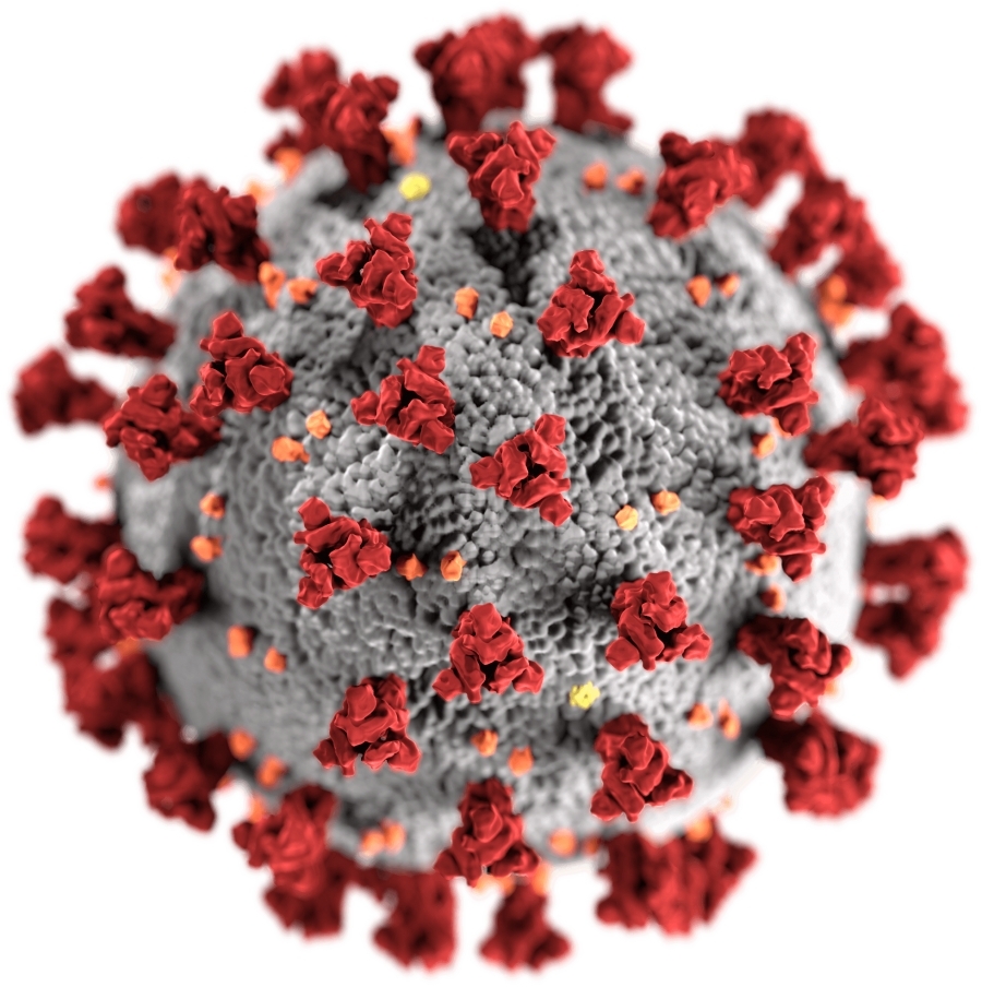 Coronavirus: OMS convoacă o întâlnire pe tema noii tulpini a virusului