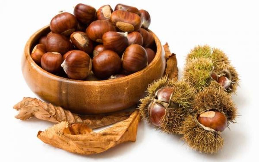 Castanele comestibile, un tonic natural foarte puternic