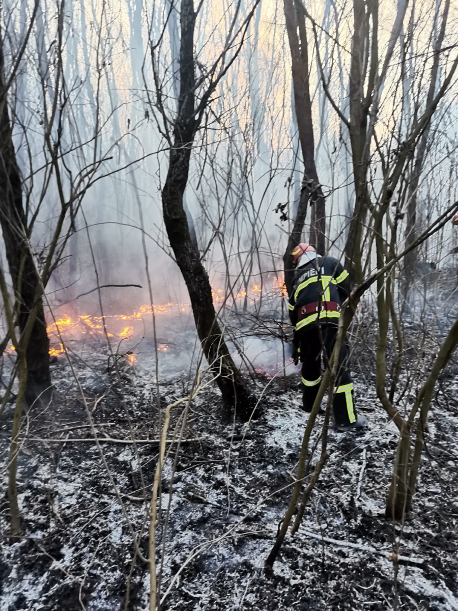 Incendiu puternic de vegetație uscată în Insula Mică a Brăilei