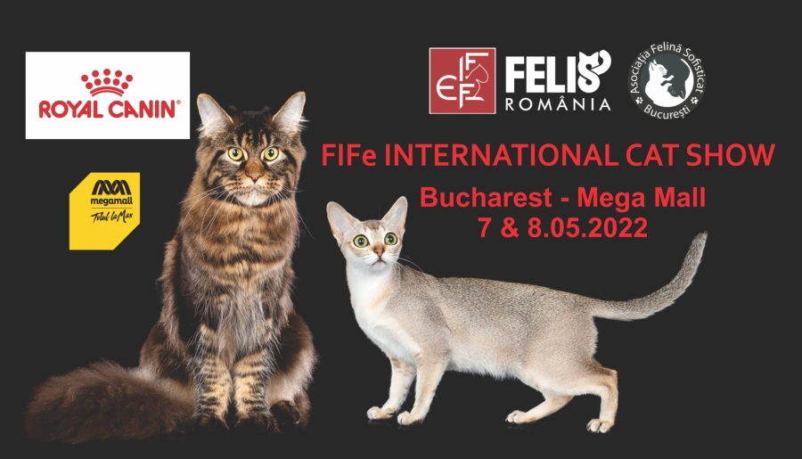 SofistiCAT - Salonul Felin Internaţional Bucureşti îşi redeschide porţile după doi ani de pauză