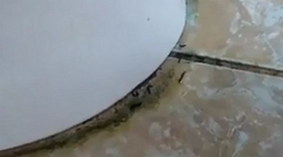 Cauza viermilor de la Spitalul de Copii Galaţi: Ventilaţie artificială ineficientă