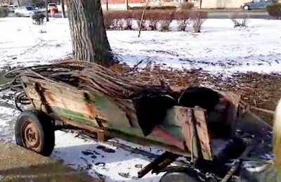 VIDEO | Furau cu căruţa tot ce găseau prin zona Port