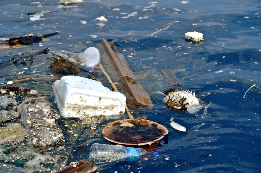 Cea mai mare densitate de deşeuri de plastic din lume, descoperită pe o insulă nelocuită din Pacific