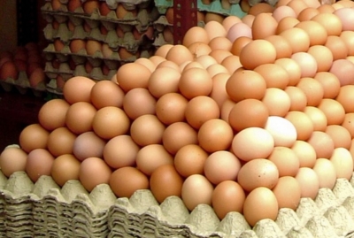 Comercianţii de ouă amendați cu peste 380.000 lei, într-o singură zi, de ANPC