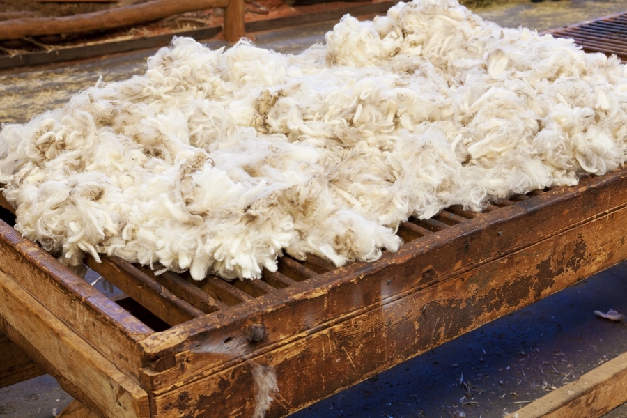 Vrancea: Aproape 150 de crescători de ovine din judeţ valorifică lâna la centrele de colectare din ţară