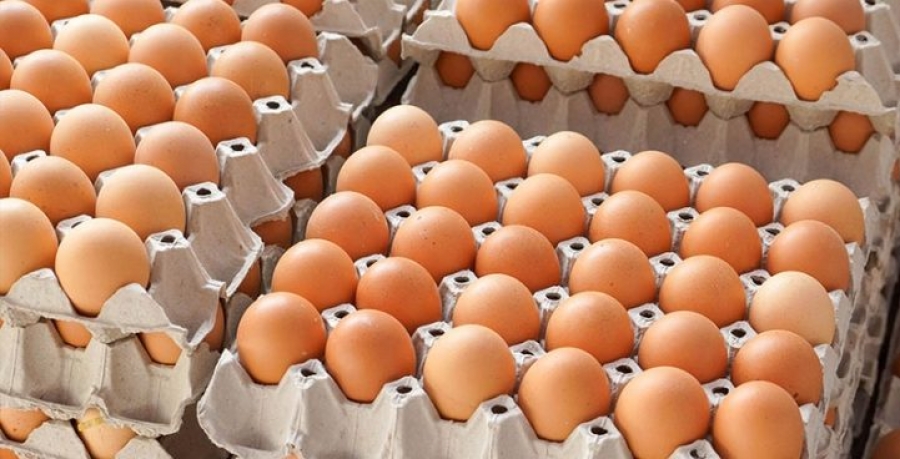 Autoritatea Sanitare Veterinară verifică condiţiile în care sunt importate ouăle din Europa