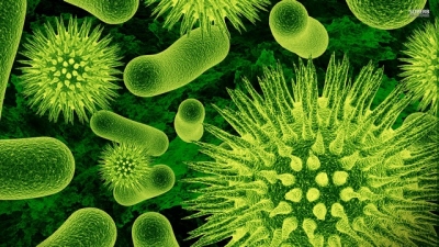 OMS avertizează asupra superbacteriilor mortale