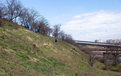 A început o nouă campanie pentru plantări de copaci în Galaţi