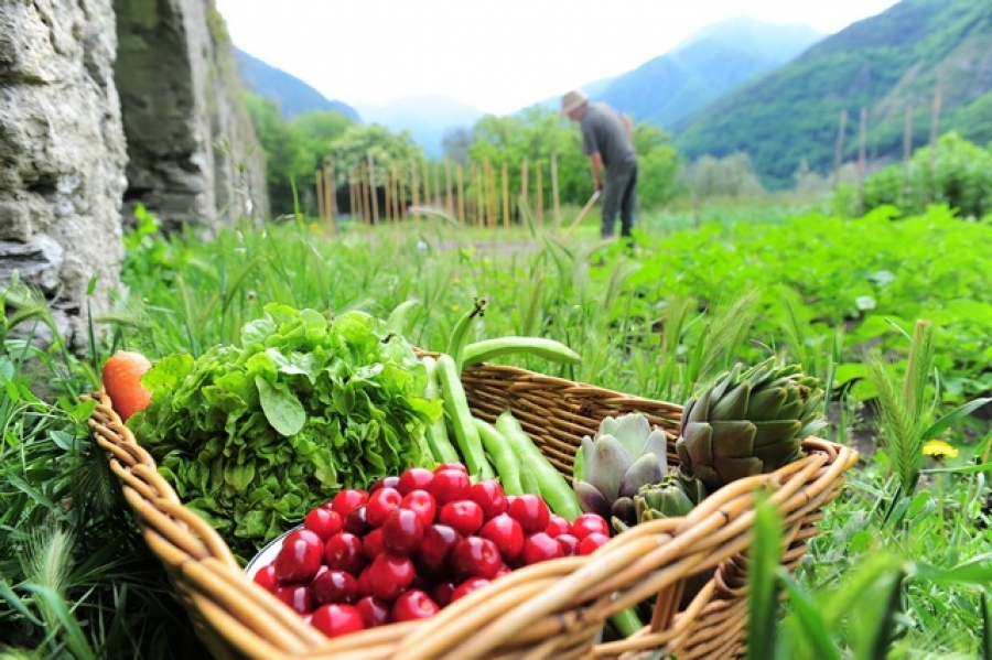 Alimentaţia bazată pe produse ecologice din plante oferă cele mai mari beneficii mediului