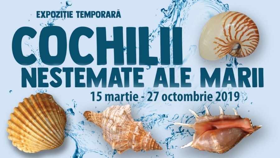 Sute de "Cochilii, nestemate ale mării", expuse la Complexul Muzeal Galaţi