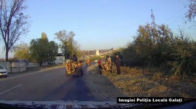 Prinşi în timp ce tăiau copacii din livada Seromgal