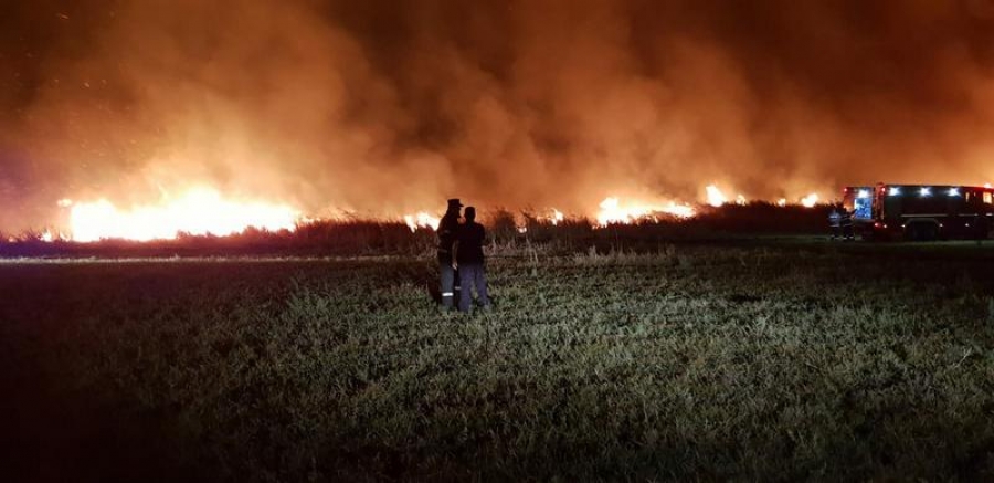 Brăila: Incendiu de vegetaţie uscată între localităţile Scorţaru Vechi şi Comăneasca