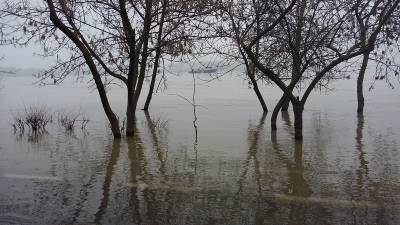 Nivelul Dunării a depăşit cota de inundaţie la Galaţi