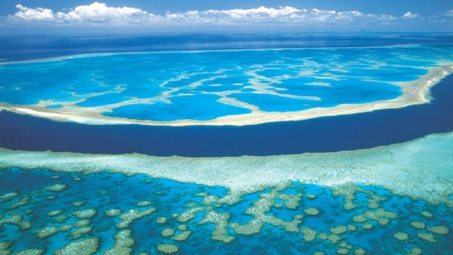 Marea Barieră de Corali, cel mai lung recif de corali din lume