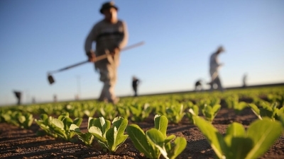 Clubul Fermierilor Români propune autorităţilor extinderea sistemului de irigaţii locale printr-o schemă de ajutor de stat