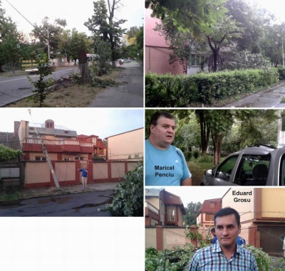 Furtuna a doborât 11 copaci şi a rupt un stâlp de înaltă tensiune