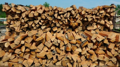 Ungaria autorizează o creștere a tăierii de lemne pentru foc, din cauza scumpirii gazului