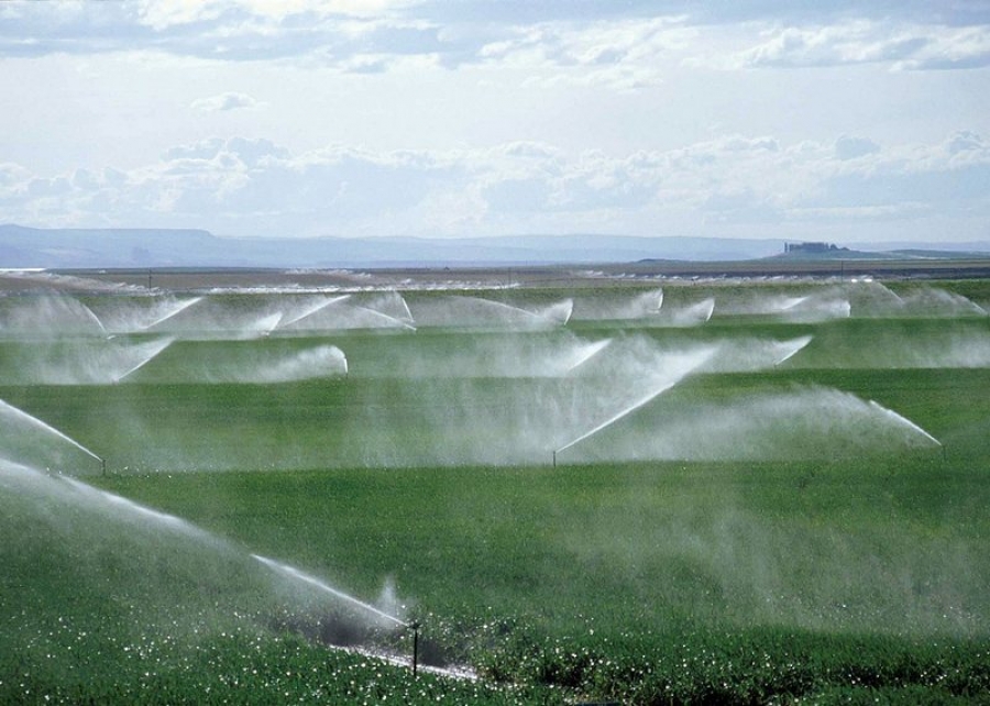 Îmbunătăţirea gestionării apei în sectorul agricol, analizată de specialiştii Ministerului Agriculturii