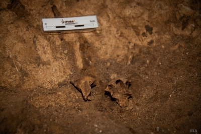 Probabil cea mai veche fosilă umană din Europa, descoperită în Spania