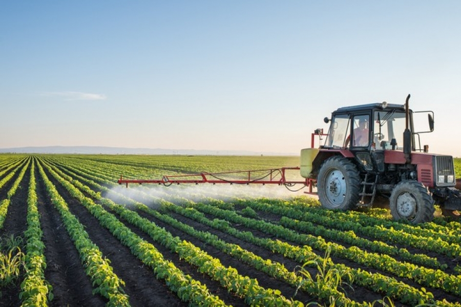 Trecerea la o agricultură 100% bio va fi imposibilă fără schimbări majore