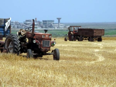 Tinerii fermieri au dreptul la plăţi directe suplimentare, prevăzute de CE