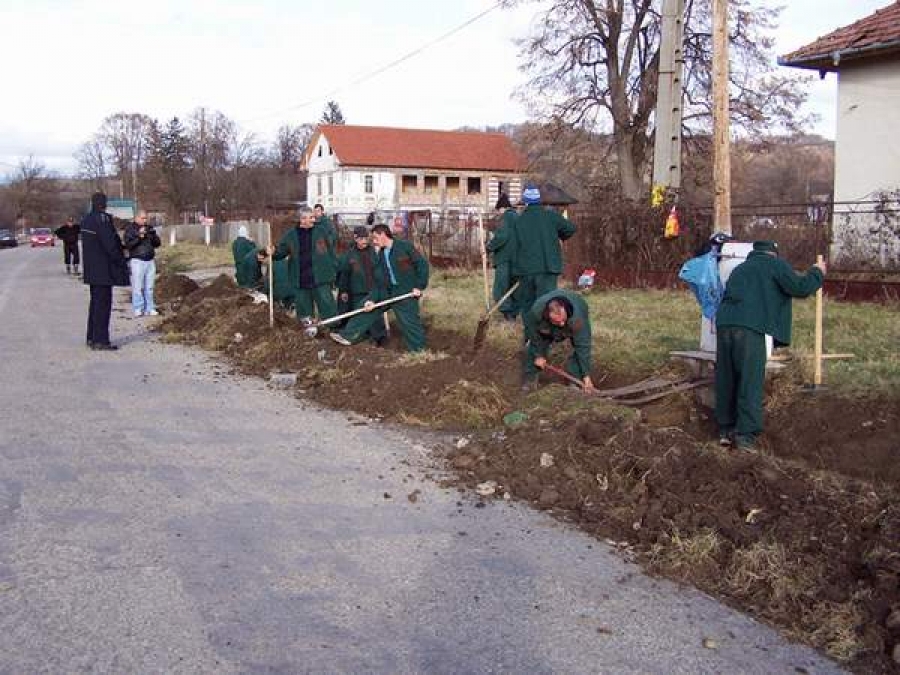 Deţinuţii, preferaţi în construcţii, agricultură şi reciclarea deşeurilor