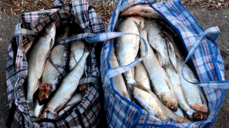 Amenzi de mii de lei şi produse confiscate în Piaţa Basarabiei