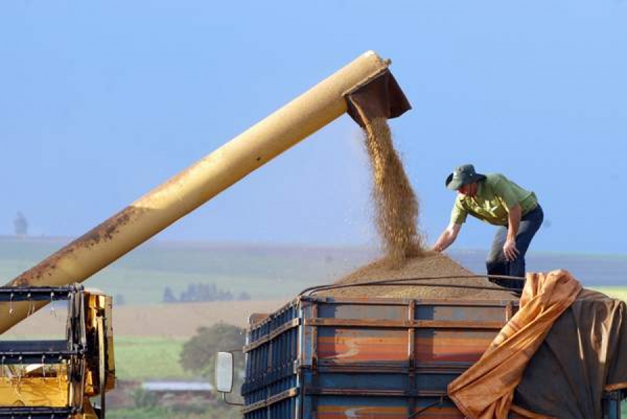 Agricultura şi exporturile trag toată economia în jos