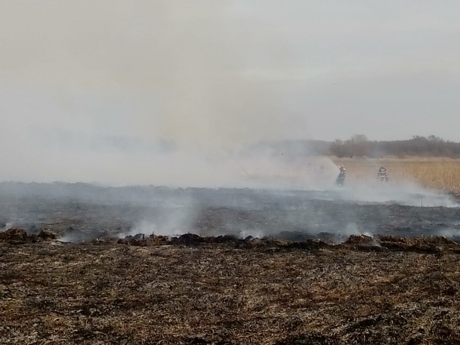 Incendiu masiv la Nufăru: Arde stuf pe o suprafață de 2 hectare (FOTO/VIDEO)