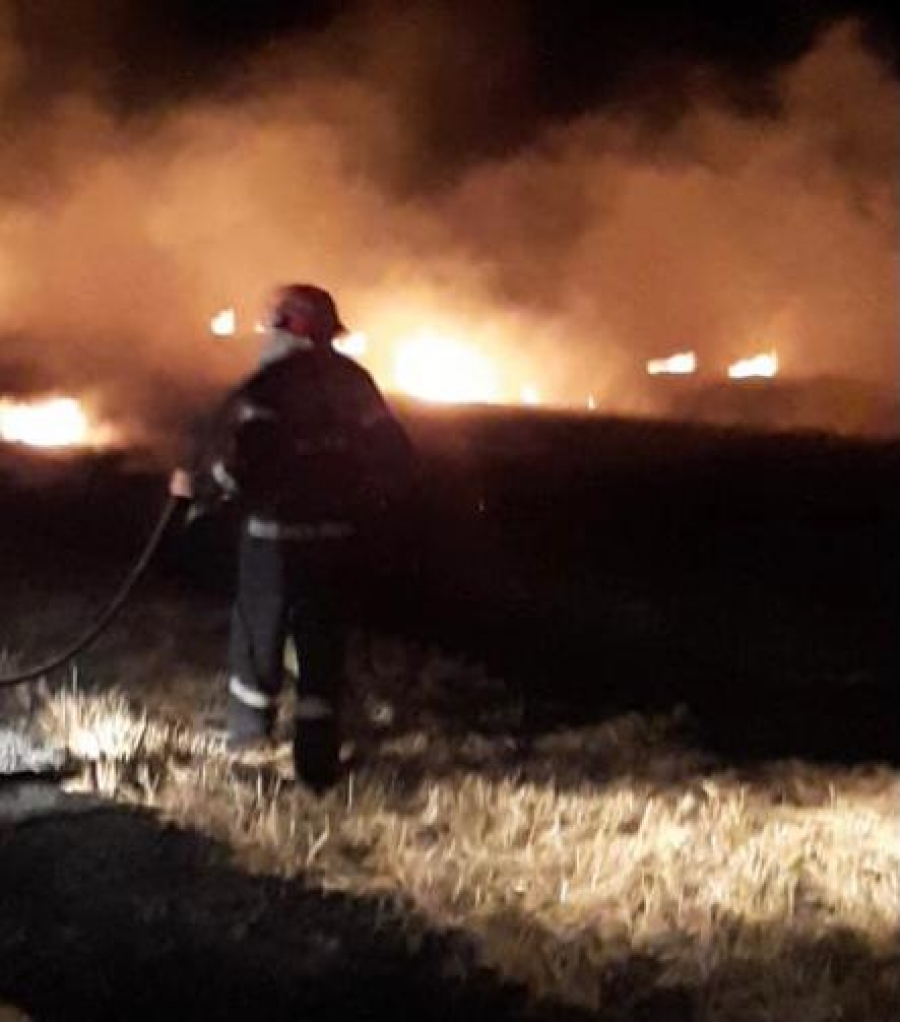 Tulcea: Incendiu de vegetaţie, pe 15 hectare, la Stejaru