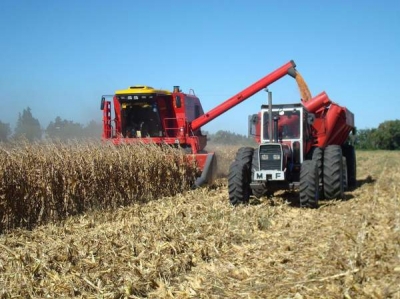 România se poate menţine pe primele locuri la producţia agricolă