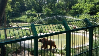 Meniu de caniculă la Grădina Zoo din Galaţi