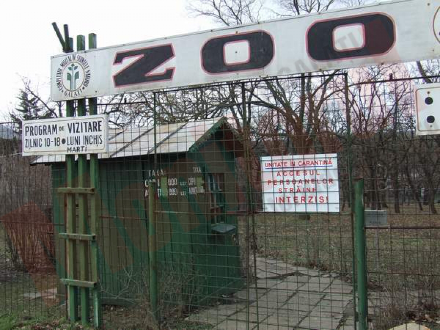 Gălăţenii vor avea o grădină zoologică la standarde europene