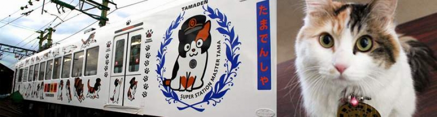 Pisica „Nitama” - noua şefă de gară a unei localităţi din Japonia