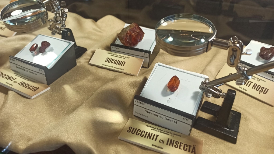 „Chihlimbarul, varietate şi culoare”: Expoziţie cu vânzare la Complexul Muzeal Galaţi