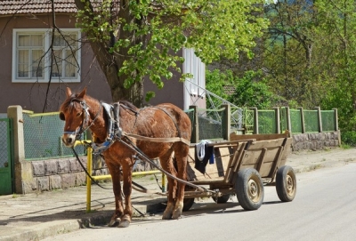 Brăila: Produse agricole furate cu căruţa