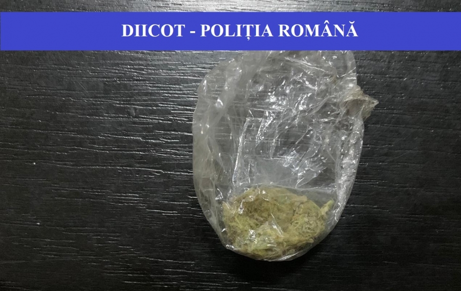 FLAGRANT: Cumpărau droguri din Galaţi şi le vindeau la Tulcea