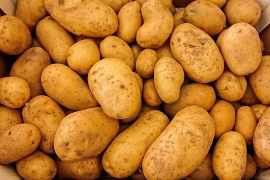Cartofii şi citricele sunt alimentele care s-au scumpit cel mai mult în primele 7 luni