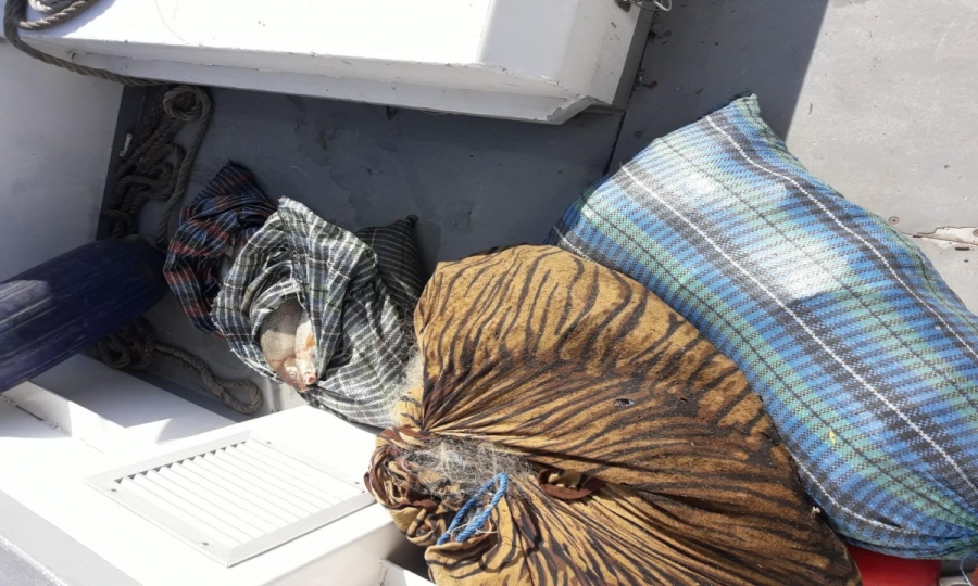 60 kg de peşte şi bunuri de 11.800 lei descoperite de poliţiştii de frontieră brăileni